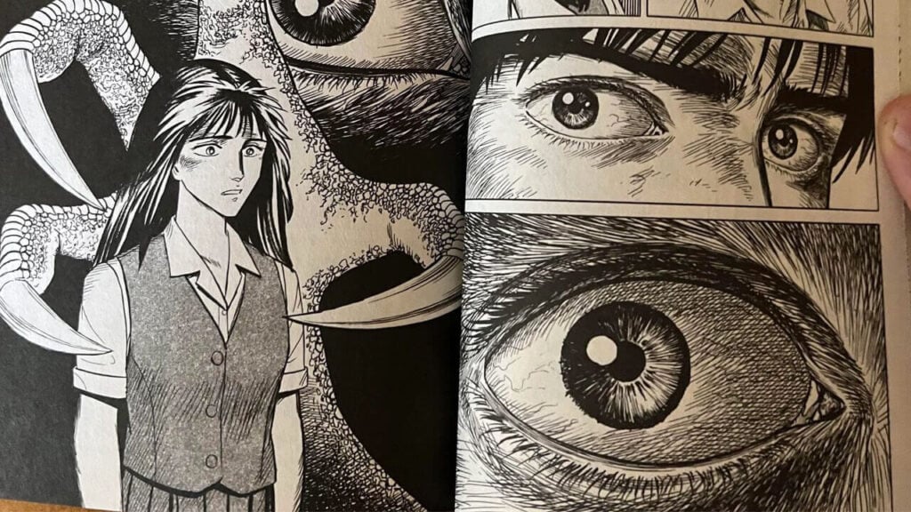 A Little About The Original Manga